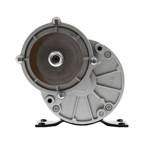 250W 12V Motor eléctrico con engranaje reductor, potente motor eléctrico con polea, motorreductor
