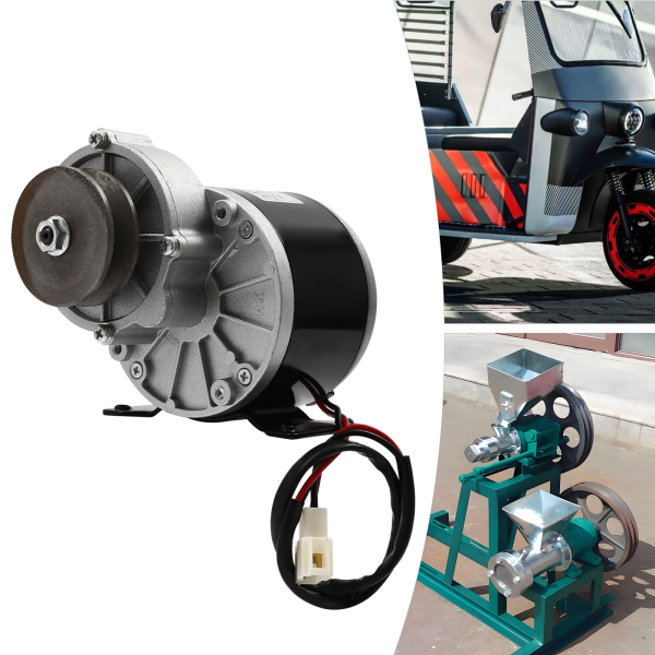 250W 12V Motor eléctrico con engranaje reductor, potente motor eléctrico con polea, motorreductor